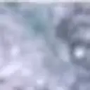 BuyerSyeak