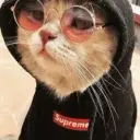 steezii