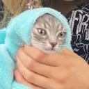 Msssdrowpret