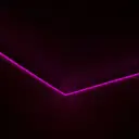 lizZzerg1n