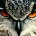 Lolz profile picture for @SantaCruz