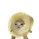 Lolz profile picture for @Ilovecs