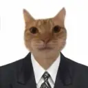 abobusavtobuss