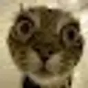 bot_chert