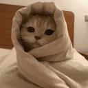 vinocurov