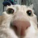 akunaqz