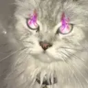ramoniel