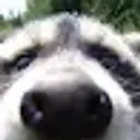 Lolz profile picture for @furtive