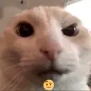 kkchss