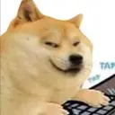 HackYourAss