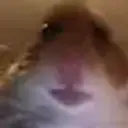 Taoqoscjwi
