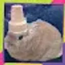 Lolz profile picture for @Flashlight