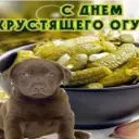 tuczarr