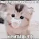 KGJ