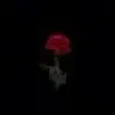0_k_h_a_m_i_d_0