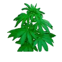 XE0D