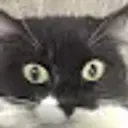 Lolz profile picture for @Hollers