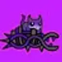 wsqxx
