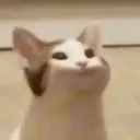 onelj