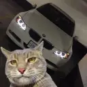 dontkillmyvaib