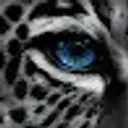 Lolz profile picture for @liamgy