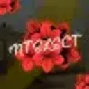 1NTELECT_inactive6195244