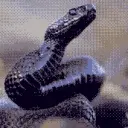 givvvvvil