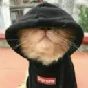 egorovD