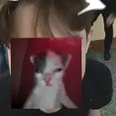 w1ld11