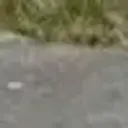 Zet_m1n