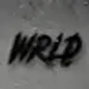 EWZ1337