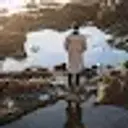 zxcprodavec