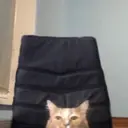 Игнатий