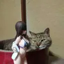 sh1zzaQ