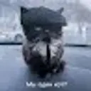 krutojaslan123
