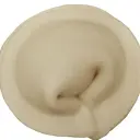 N1teX