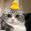 OptyC