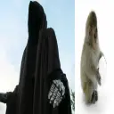мейнер
