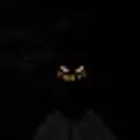 nazxcat2