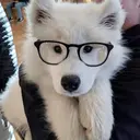 Eieoeoe