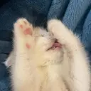 TYUJNCBDSH