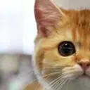 i_love_frendzone