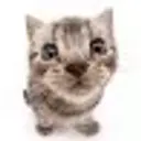 strwbrrkitty