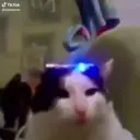 Lolz profile picture for @Shelling