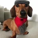 Бебриеета