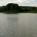david_vasilevdd