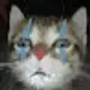 Lolz profile picture for @hums