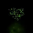 TG_PIXEL