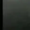 Xexexe1337