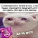 Erekdkd